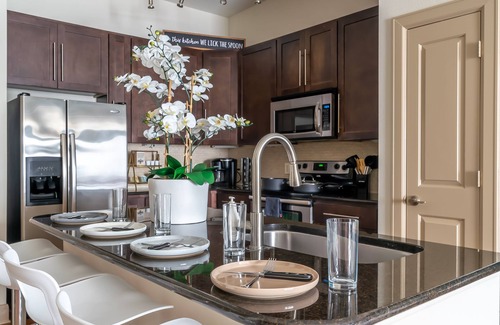 Astrodome Apartment | Call it Comfy | Walking Distance to NRG/Med Center
