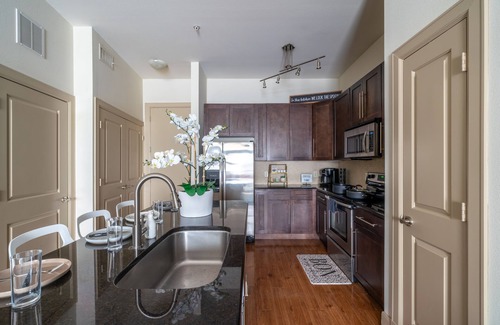 Astrodome Apartment | Call it Comfy | Walking Distance to NRG/Med Center
