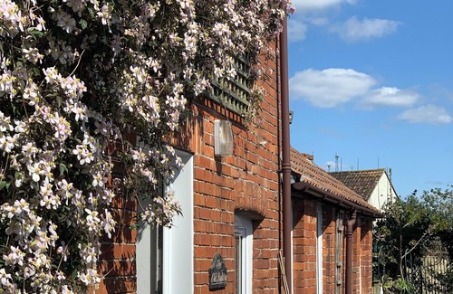 Bridport Apartment | Calm and Spacious Garden Retreat - Pet Friendly