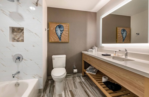 Lauderdale Beach Hotel | Cambria Hotel Fort Lauderdale Beach