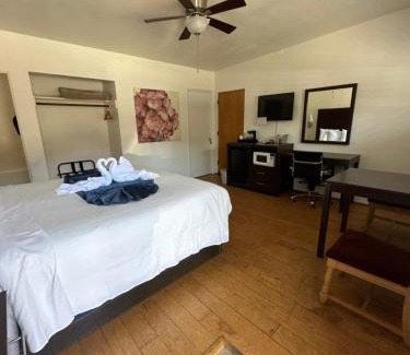 Cambria Hotel | Cambria Palms Motel