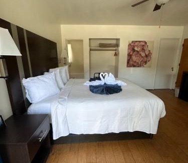Cambria Hotel | Cambria Palms Motel
