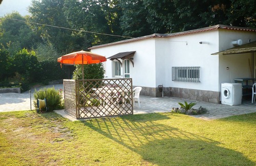 Barano d'Ischia Apartment | Camellia Apartment