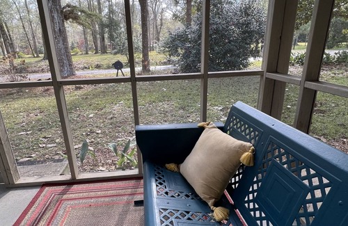 McComb Cottage | Camellia Cottage - rural setting of historic Holmesville on Bogue Chitto River