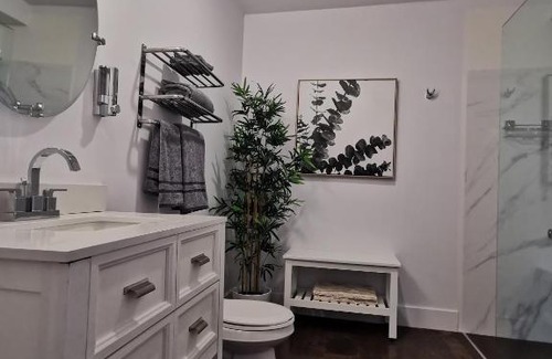 Downtown Halifax Hotel | Cameo Hotel and Suites