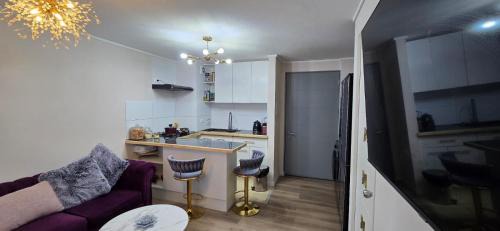 Valdivia Apartment | Camidepartamento