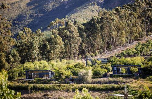 Cape Winelands House | Camissa Farm