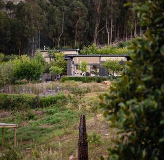 Cape Winelands House | Camissa Farm