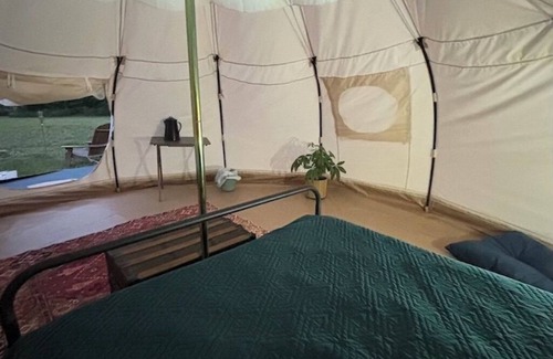 Gillett RV Rental | Camp Sly Fox Bell Tent With A Clear Ceiling. Sleep Under the Stars!