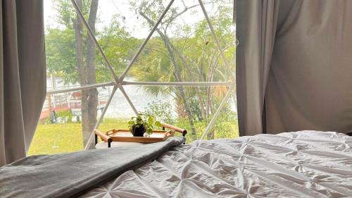 Crescent City Other | Camp Stella