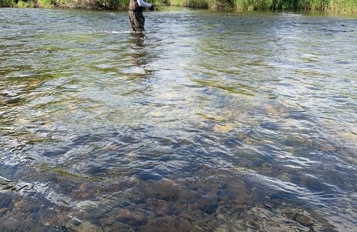 Ravalli County Other | CAMP SULA - RV SITE 11