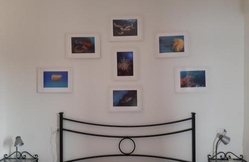 Giglio Campese Apartment | Campese Apartments