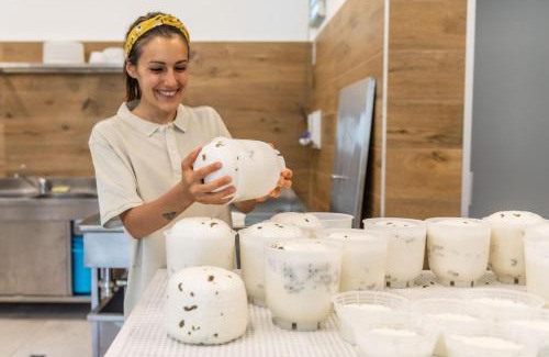 Arco Other | Camping Agrisalus