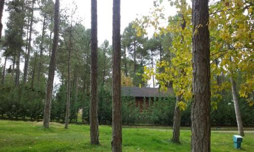 Cuenca Other | Camping Caravaning Cuenca