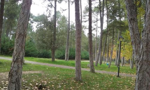 Cuenca Other | Camping Caravaning Cuenca
