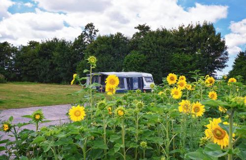 Zeewolde Other | Camping de Betovering