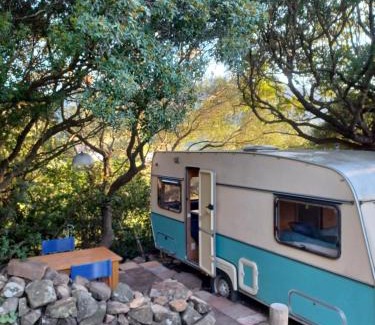 Tarifa Other | Camping en Molino Dorado