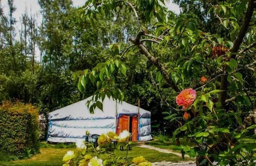 Saint-Benoit-des-Ondes RV Rental | Camping Village Insolite* - 1 room yurt for 5/6 people