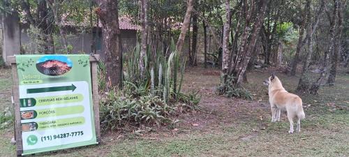 Pati Valley Other | Camping Guapira