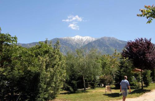 Fuilla Other | Camping le Rotja