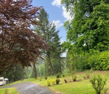 Le Petit-Bornand-les-Glieres Other | Camping les Marronniers