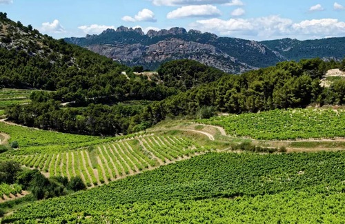 Mondragon House | Camping maeva Escapades La Pinède en Provence *** - Mobile Home Origan 3 Rooms 4 People