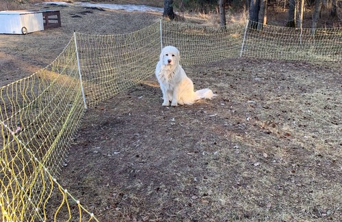 Markerville Apartment | Camping on private land