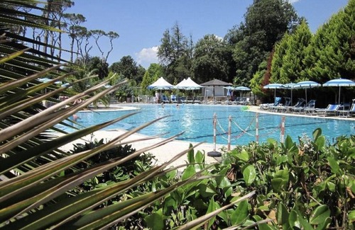 Viareggio Ski Chalet | Camping Paradiso - Zona Rossa 5