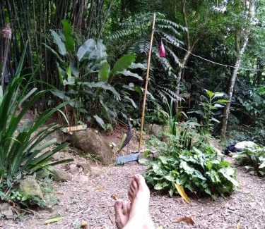 Cocaia Other | Camping Trópico de Capricórnio - Ilhabela