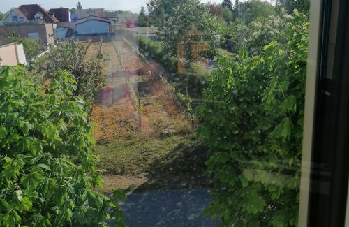 Podersdorf am See Apartment | Campingblick-Gästehaus-Ferienwohnungen