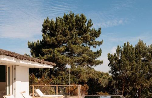 Carvalhal Villa | Campo de Arroz