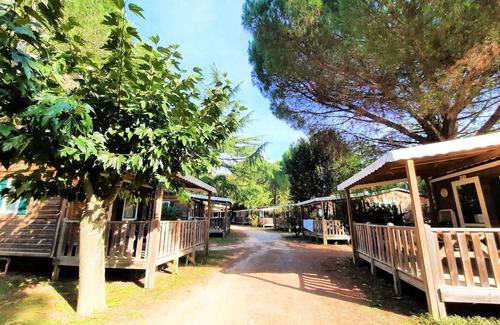 Saint-Jean-Pla-de-Corts Ski Chalet | Campsite Les Casteillets * - Chalet Comfort 16 m2 - 1 bedroom - air conditioning (extra sleeping possibility) 4 persons