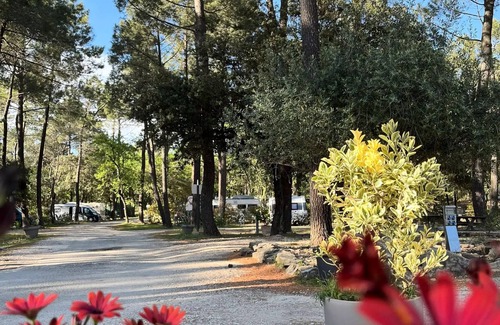 Bollene House | Campsite La Simioune* - Mobil Home Premium Montmirail 4 rooms 4 adults + 2 children Air-conditioned