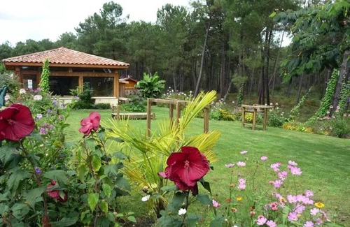 Saint-Michel-Escalus House | Campsite LANDES OCEANES * - MH 4 people GRAND CONFORT 4 people
