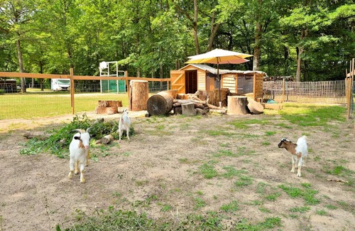 Combreux House | Campsite Seasonova Etang de la Vallée * - COTTAGE 3 bedrooms 6 people