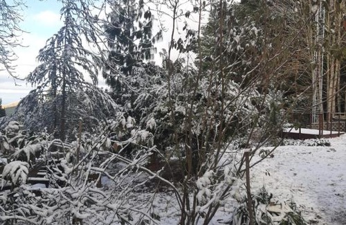 Hogsback House | Camroshell