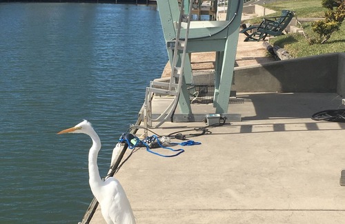 City-by-the Sea House | Canal front Coastal Cottage in Rockport off Estes Flats!