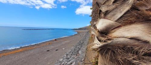 Puerto de Guimar Apartment | Canela Tenerife Apartment