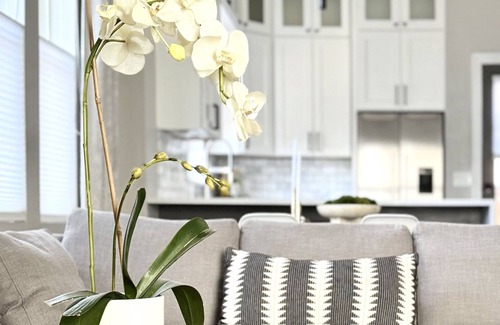 Whittier House | Canyon Urban Oasis in Central Boulder