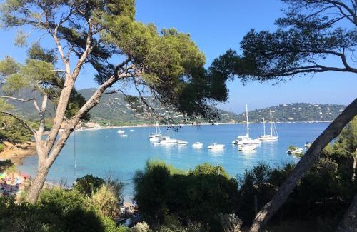 Cavaliere Beach Apartment | Cap Sud,apt 4p,vue mer,pr plage