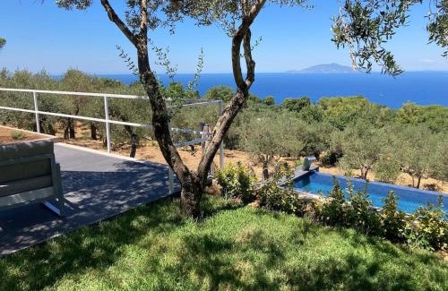 Anacapri Villa | “CapriOleum” esclusive place