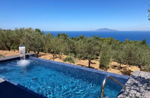 Anacapri Villa | “CapriOleum” esclusive place