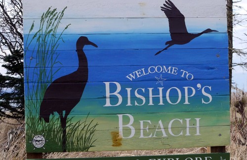 Homer Apartment | Captain Quarter's Studio near Bishop's Beach - Pet friendly Studio