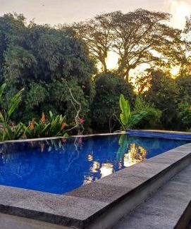 Celuk Villa | Carangsari 3 Bedroom Villa with Private Swimming Pool and Riverside