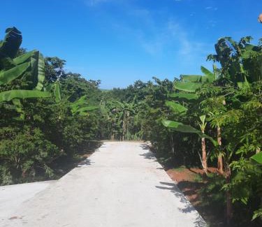 Sainte-Rose Apartment | Caret