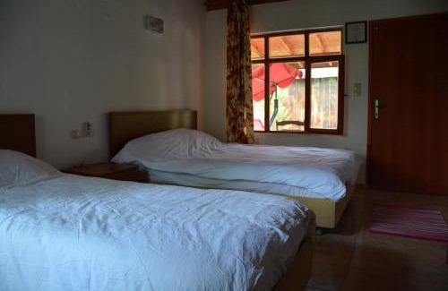 Cirali Hotel | Caretta Caretta Pension