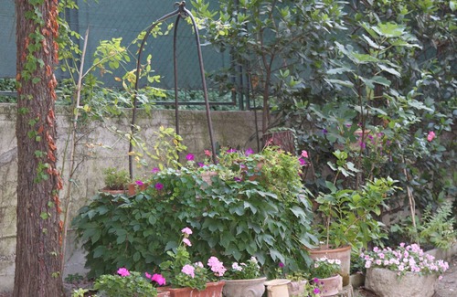 Fano House | Carignano: House with garden The Red House