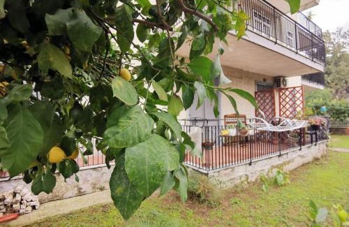 San Nicola La Strada Bed & Breakfast | Carmen's Home Caserta sud