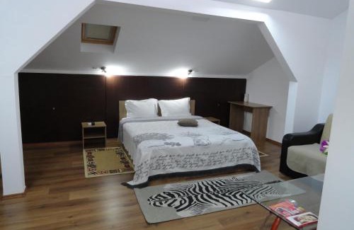 Otopeni Apartment | Carmen Studio