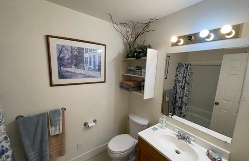 Lakehills House | Carriage House - Medina Suite 1